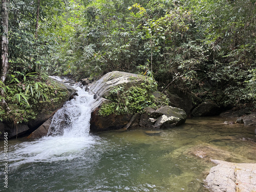 Small waterfall cascading over rocks into a clear pool in a lush green forest. Natural jungle stream landscape with mossy boulders and dense foliage