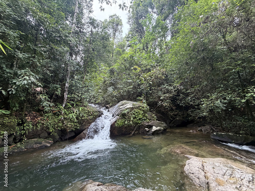 Small waterfall cascading over rocks into a clear pool. Lush green tropical rainforest stream with dense foliage and trees. Natural wilderness environment