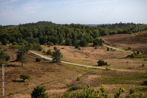 Gravel road through the forest of Mols Bjerge, Denmark