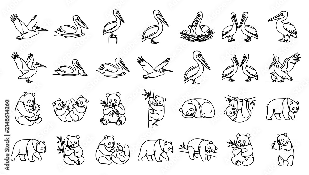 Fototapeta premium Pelican and Panda Family Continuous One Line Animal Art Vector Set