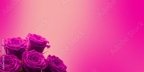 Beautiful bouquet of vibrant magenta roses on a gradient pink background, perfect for romantic occasions, valentines day, or floral design projects