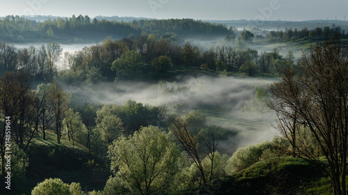 Lush green forest landscape with mist and morning fog in spring. Morning over countryside in spring
