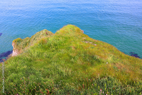 Fotografía Cliffs of Moher are sea cliffs located at the southwestern edge of the Burren region in County Clare, Ireland