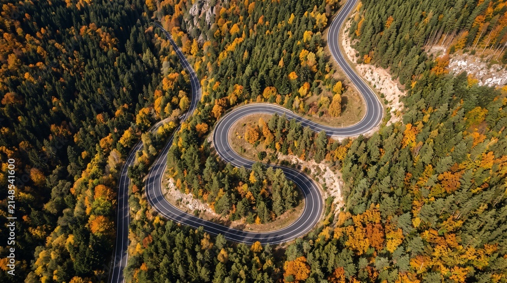 Obraz premium Winding road through autumn forest. Aerial view of a serpentine highway in fall woods.
