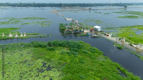Flood-like monsoon waters cover Bortir Bil, North 24 Parganas, West Bengal, India. A wooden boat glides through the seasonal wetland as cows graze amid lush greenery, reflecting Bengal's rural 