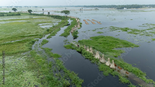 Flood-like monsoon waters cover Bortir Bil, North 24 Parganas, West Bengal, India. A wooden boat glides through the seasonal wetland as cows graze amid lush greenery, reflecting Bengal's rural 