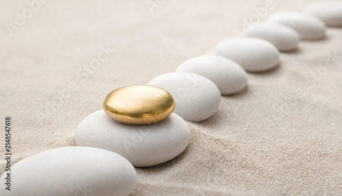 Unique golden stone standing out from a row of white stones on sand with leadership different outstanding business strategy difference selection precious achievement minimalist textured