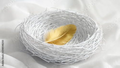 A single golden feather resting inside a white woven bird nest on soft fabric with luxurious delicate precious minimalist decoration stilllife interior isolated background creative prestige