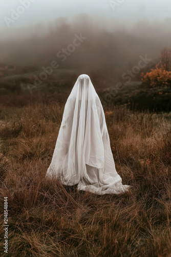 Mysterious Veiled Figure Depicting a Ghost, Standing in Foggy Autumn Field with Dry Grass Creating an Eerie Atmospheric Scene, Copy Space, Aspect Ratio Vertical 2:3