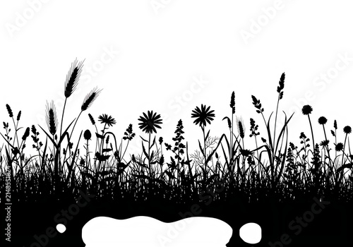 Black silhouette of wild meadow grass and flowers with white puddles on the ground isolated on transparent background