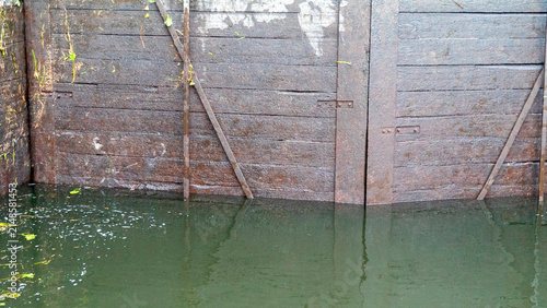 Wooden barrier in a body of water surrounded by greenery during daylight