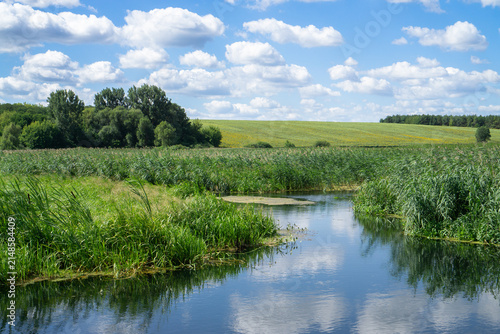 Foto Scenic Summer Wetland Landscape with River Reflection and Blue Sky
