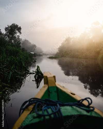 Bild auf Leinwand Scenic view of a boat exploring a wild tropical river in the jungle