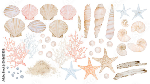 Collection of Watercolor Marine Life Elements and Seashells