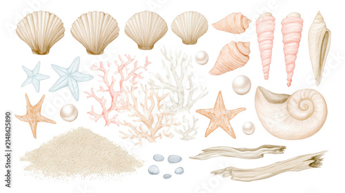 Watercolor Collection of Marine Seashells and Coral Elements