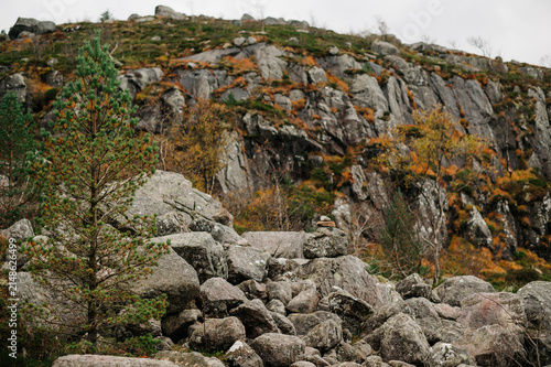 Norwegian rocky mountain landscape with pine tree and autumn foliage
