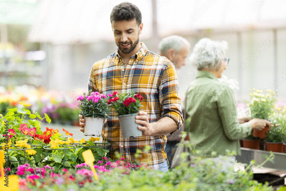 Obraz premium Adult man choose lantana camara flowers of different colors in a garden hypermarket