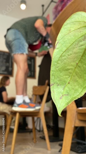 large green leaf with visible veins and blemishes fills foreground while adult in casual shorts balances on chair and reaches forward with camera in blurred cafe