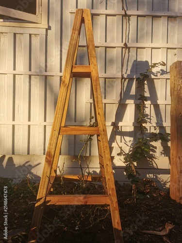 Handcrafted Wooden Garden Obelisk Trellis for Climbing Roses, Clematis and Vines in Cottage Garden Landscape Design