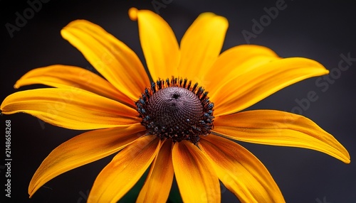 A Vibrant Yellow Flower With Multiple Petals And A Dark Center