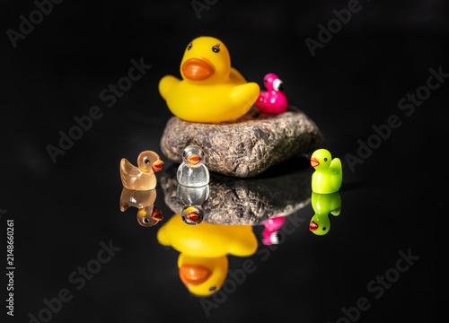 Foto Colorful cute dissimilar mini ducks on a dark black mirror reflecting background