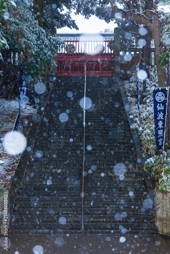 Obraz na płótnie 日本の風景・冬　埼玉　雪の小江戸川越　仙波東照宮