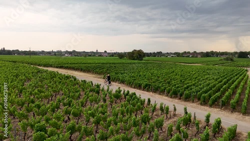 Drone view of a man riding a bicycle from right to left along a path through lush green Chardonnay vineyards in the Burgundy wine region of France, enjoying healthy outdoor exercise in vibrant summer 
