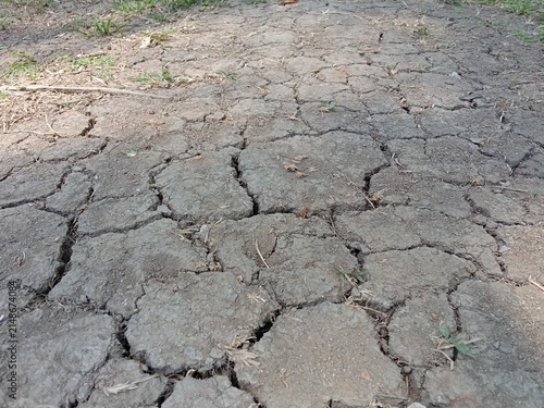dry, cracked soil on the ground, showcasing deep fissures caused by severe drought and heat. The rough, parched earth texture highlights the harsh environmental conditions and water scarcity.