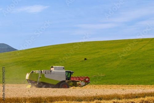 Combine harvester working in wheat field under blue sky landscape view