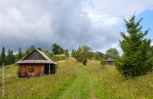Scenic rural landscape with old wooden huts nestled in a green mountain meadow filled with wildflowers. A path leads up the hill under an overcast sky