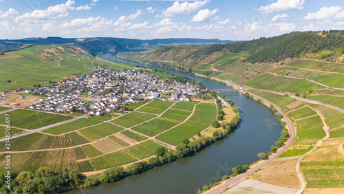 Aerial view of the village of Trittenheim surrounded by lush green riesling vineyards, the Moselle river loop and valley in Trittenheim, Rhineland-Palatinate, Germany.