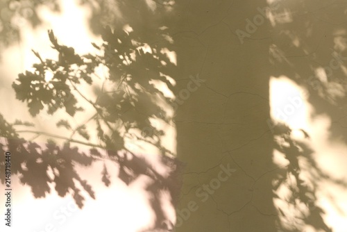The shadow of an oak tree on a yellow wall, a summer day, a beautiful photo, a memory, nostalgia