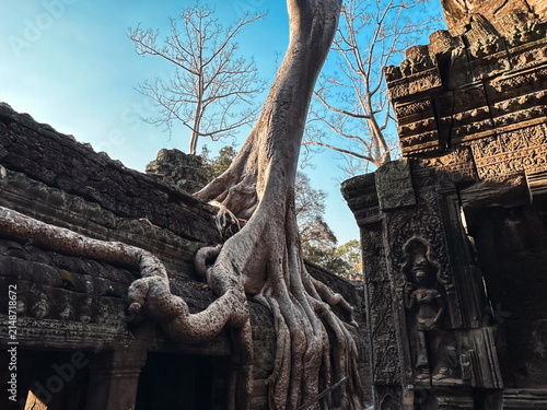 Krong Siem Reap, Cambodia - 10 February 2026: View of massive tree roots growing over ancient stone walls and bas-relief carvings at the Ta Prohm temple in Angkor Wat.