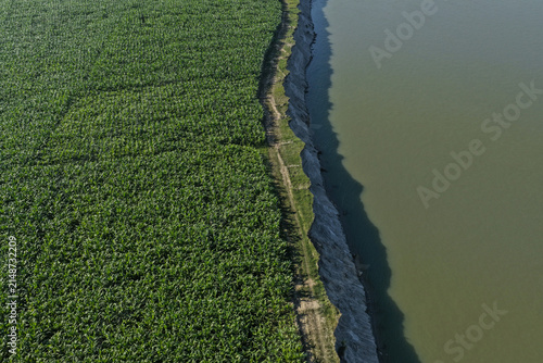 Aerial view of lush green agricultural fields bordering a river with a steep dark soil bank in Joypurhat, Rajshahi Division, Bangladesh.