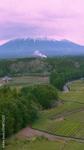 Vertical video of Mount Fuji rising behind lush Japanese tea plantations and agricultural fields, with scenic countryside roads and traditional rural landscapes in Japan.