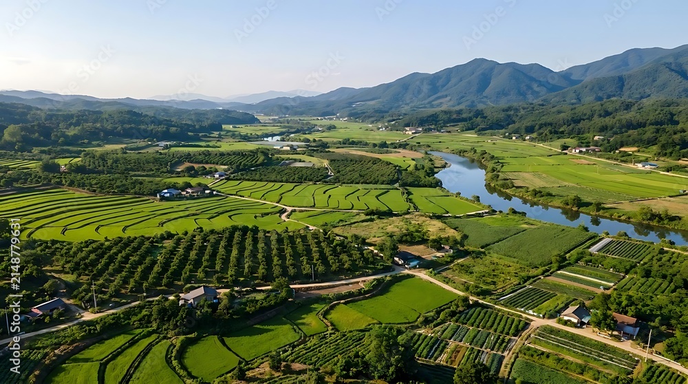 Fototapeta premium Aerial view of green terraced fields and mountains.