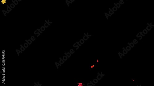 Maple Leaves Falling Start to End and Seamless Loop on Alpha.