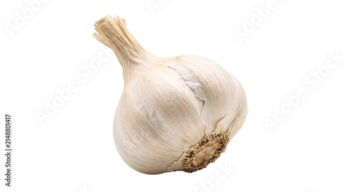 Single whole garlic bulb with textured white papery png isolated on transparent background