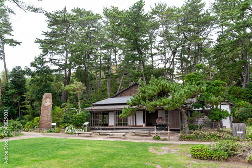 五浦海岸に建つ岡倉天心邸と松林の風景/Okakura Tenshin Residence and Pine Forest at Izura Coast