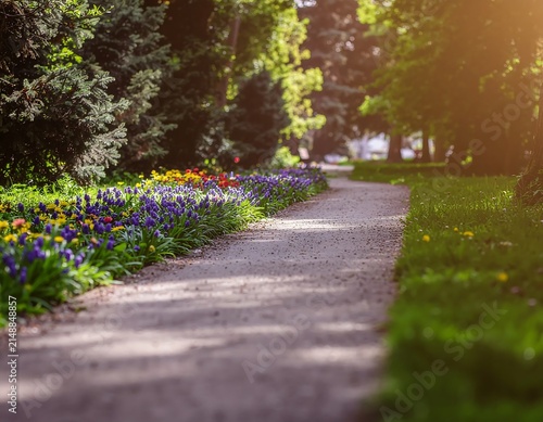 Serene garden path bordered by vibrant flowers and trees.