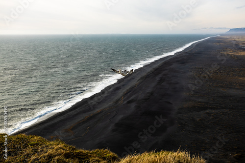 Iceland Dyrholaey Arch and Lighthouse and Black Sand Beach