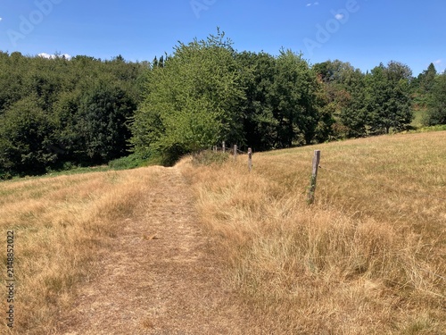 Massive Dürre auf Wiese und Feld am Waldrand. Im Sommer bei  Hitzemelder.