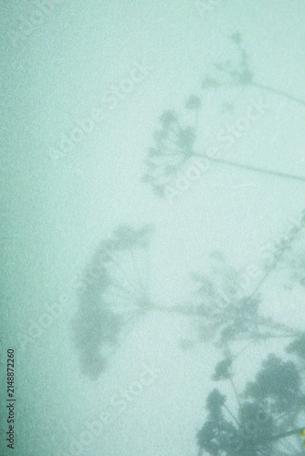 bright paper background with botanical shadows , material for scrapbooking