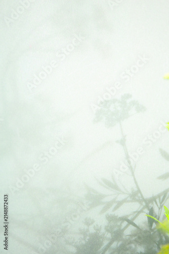 bright paper background with botanical shadows , material for scrapbooking