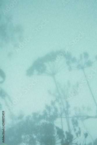 bright paper background with botanical shadows , material for scrapbooking