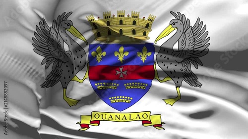 Saint Barthelemy Flag Wave Loop waving in wind Realistic Saint Barthelemy Flag background