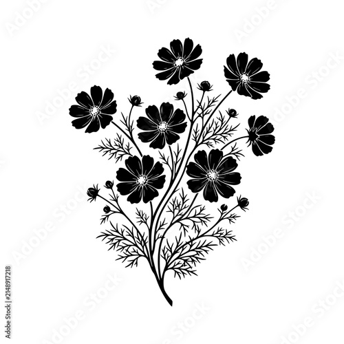 Black and white cosmos flowers bouquet silhouette vector illustration