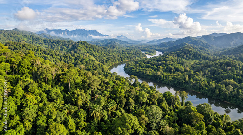 Aerial view of the rainforest at Sabah, Borneo, Malaysia
