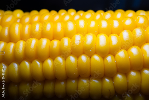 Cuadro en lienzo Macro close-up of hot boiled sweet corn on the cob sprinkled with white sea salt crystals
