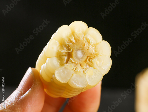 Foto White Glutinous Sticky Corn from Yunnan Xishuangbanna - Hand Holding Cross-Secti